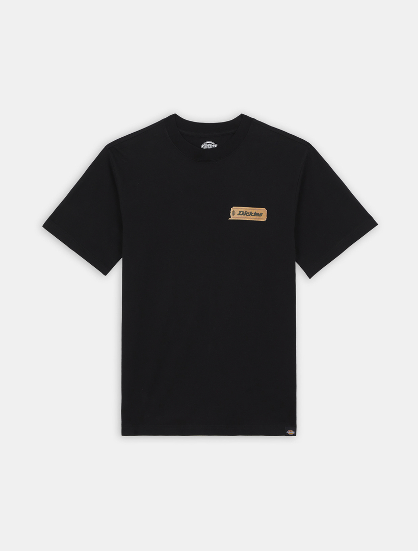 DICKIES-T-SHIRT - SS TEE PAXICO FNB