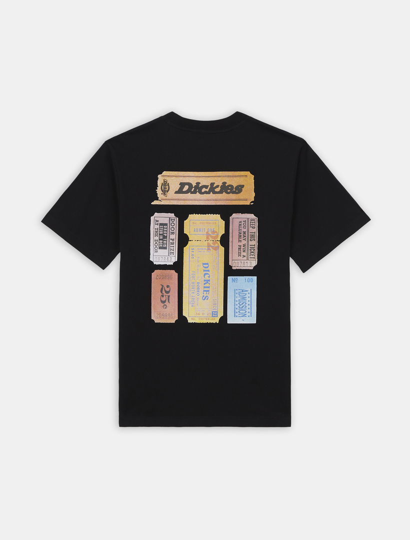 DICKIES-T-SHIRT - SS TEE PAXICO FNB