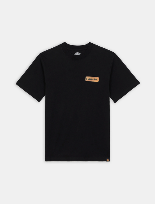 DICKIES-T-SHIRT - SS TEE PAXICO FNB